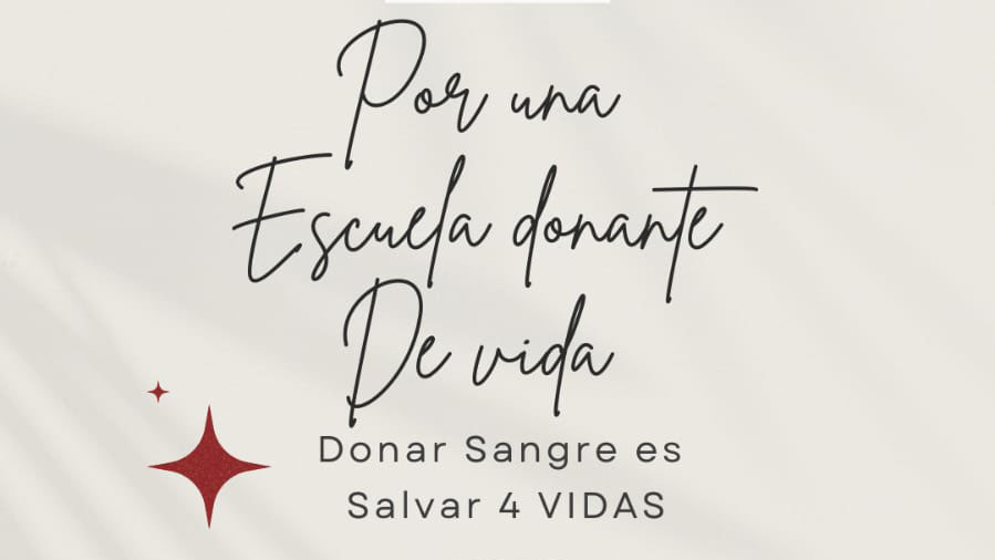 Vínculos que dan vida